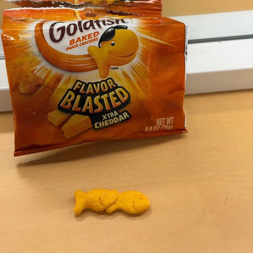 RARE “Twin” Goldfish Cracker Snack Collectible